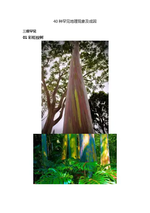 40种罕见地理现象及成因