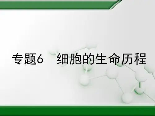 长沙市长郡中学高考生物三轮冲刺总复习优质课件-细胞的生命历程(共38张PPT)