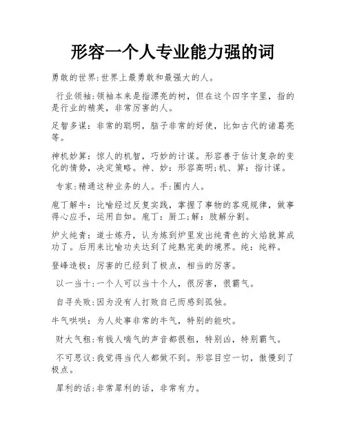 形容一个人专业能力强的词