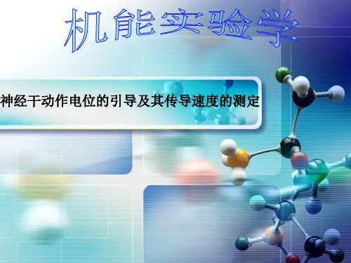 机能实验学 神经干动作电位的引导及其传导速度的测定