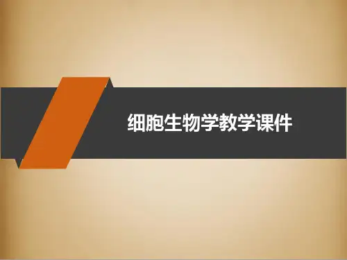 细胞生物学第四版详细课件 PPT