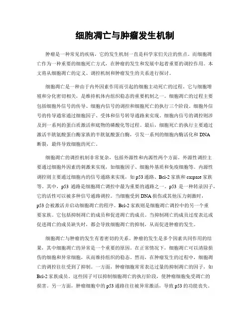 细胞凋亡与肿瘤发生机制