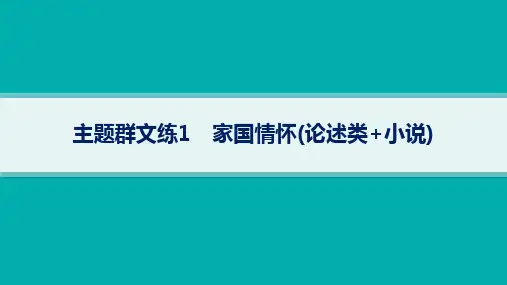 2024届高考二轮复习语文课件：家国情怀(论述类 小说)