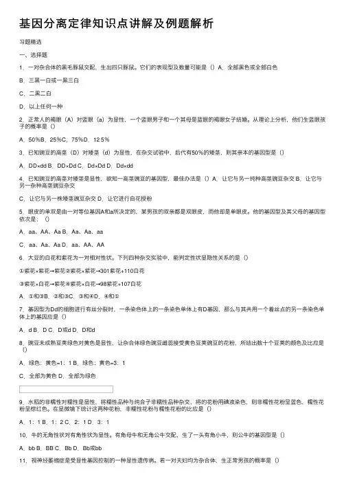 基因分离定律知识点讲解及例题解析