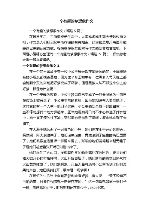 一个有趣的梦想象作文（精选5篇）