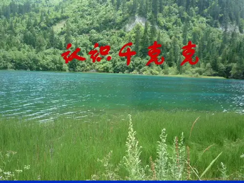 三年级数学《有多重-认识千克和克》PPT课件