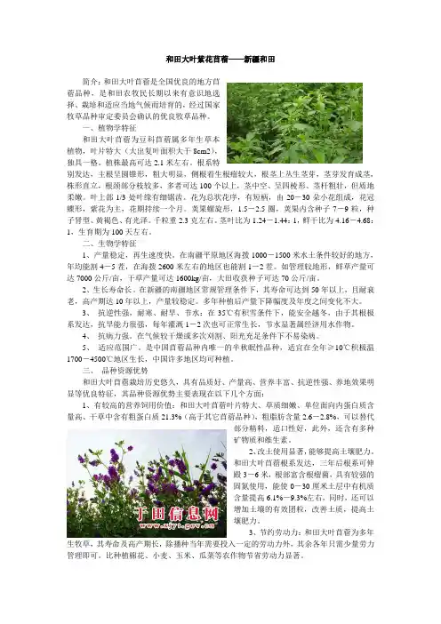 和田大叶紫花苜蓿新疆和田