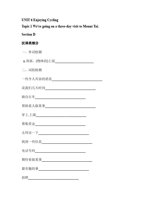 仁爱版英语八年级下册 Unit 6 Topic 1 Section D 单词 词组 句子 基础检测(英汉互译)