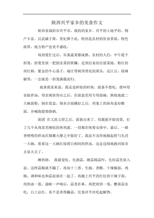陕西兴平家乡的美食作文