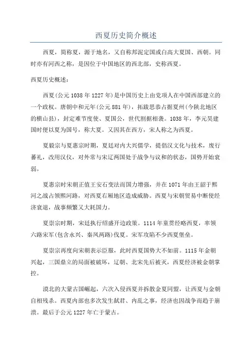 西夏历史简介概述