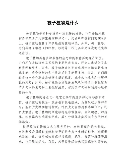 被子植物是什么