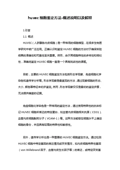 huvec细胞鉴定方法-概述说明以及解释