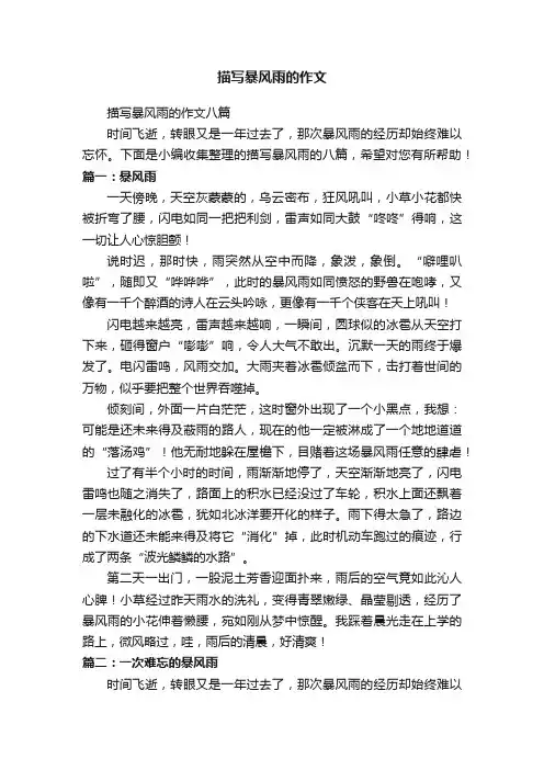 描写暴风雨的作文八篇
