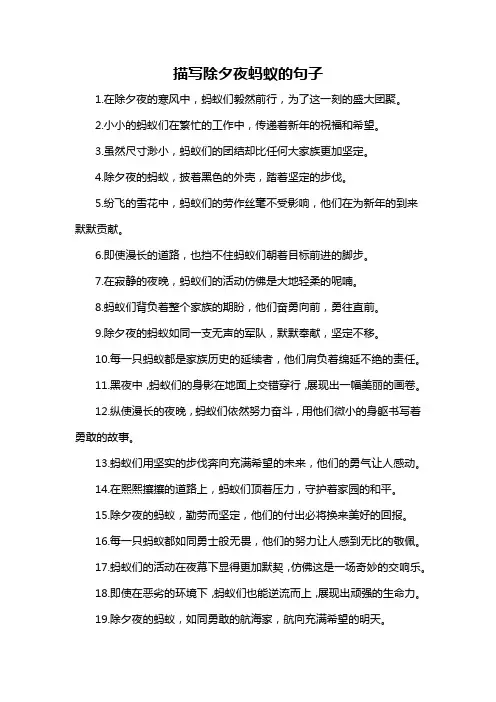 描写除夕夜蚂蚁的句子-概述说明以及解释
