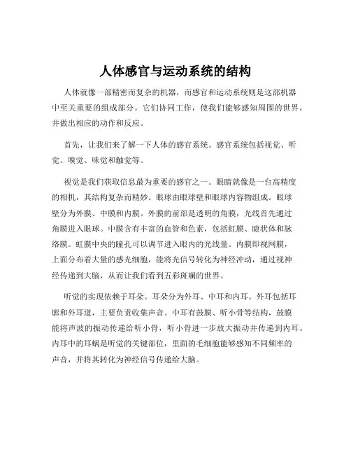 人体感官与运动系统的结构