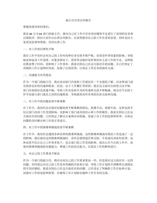 副主任自查自纠报告