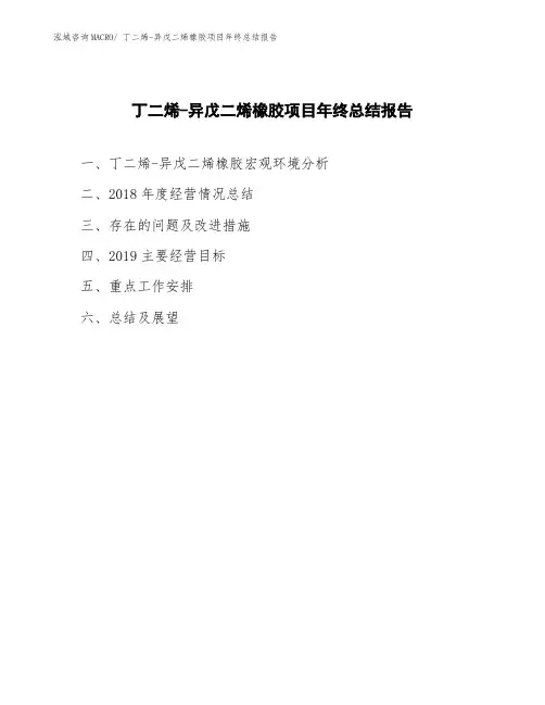丁二烯-异戊二烯橡胶项目年终总结报告