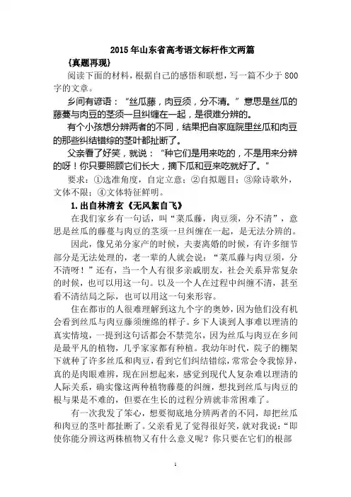 2015年山东高考满分作文