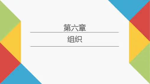 《社会工作行政实验教程》第六章 组织