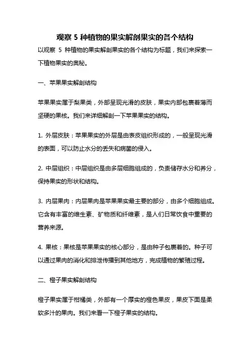 观察5种植物的果实解剖果实的各个结构