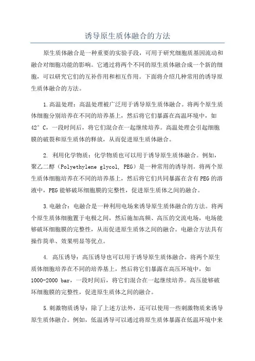 诱导原生质体融合的方法
