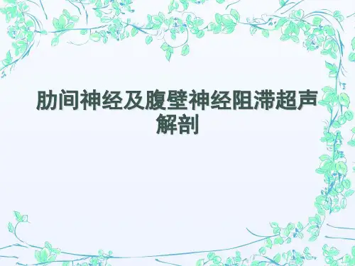 超声引导肋间神经阻滞