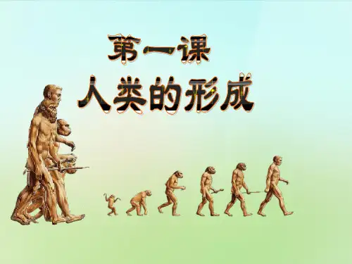 九年级历史上册 第1课 人类的形成课件 新人教版