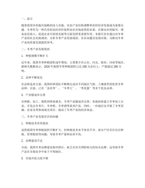 社会实践报告冬枣