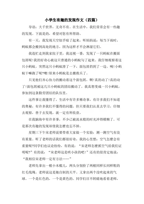 小学生有趣的发现作文(四篇)