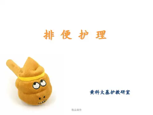 第十一章  排便护理