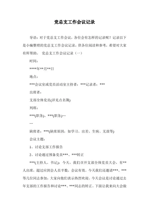 党总支工作会议记录