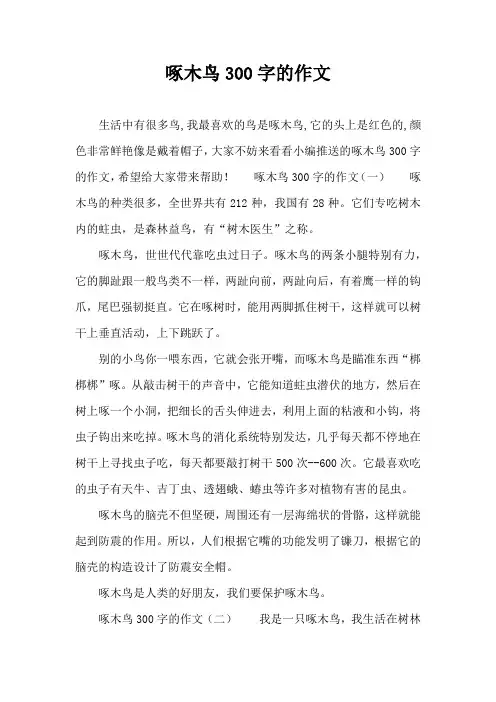 啄木鸟300字的作文