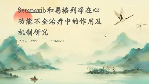 setanapptxib和恩格列净在心功能不全治疗中的作用及机制研究PPT演示课件