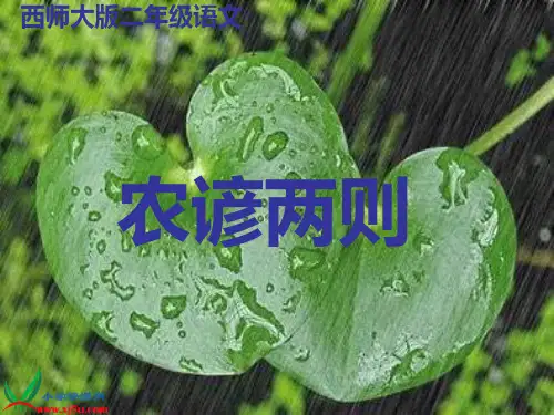 西师大版二年级语文上册《农谚两则》PPT课件