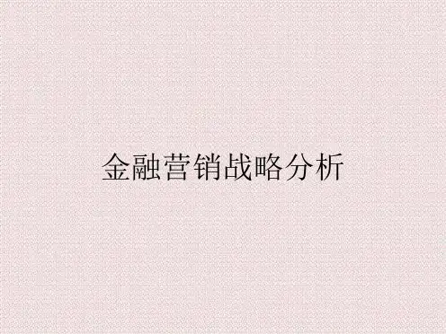 金融营销战略分析