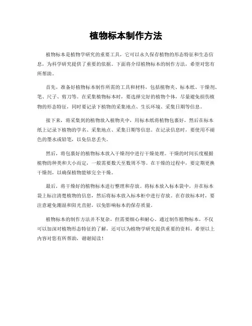 植物标本制作方法