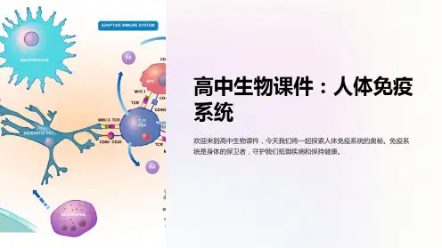 《高中生物课件：人体免疫系统》