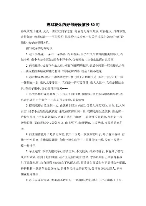 描写花朵的好句好段摘抄80句