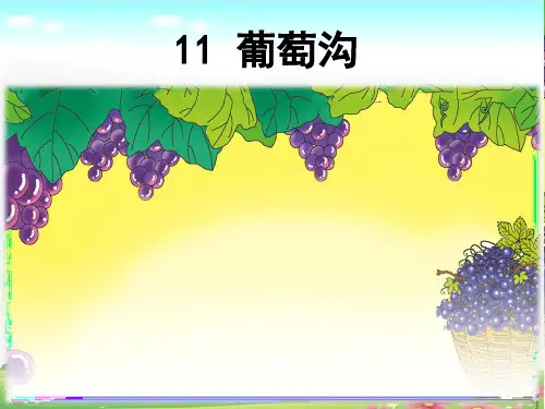 部编版语文二年级上册第11课《葡萄沟  》公开课PPT课件