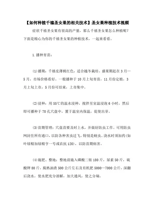 【如何种植千禧圣女果的相关技术】圣女果种植技术视频