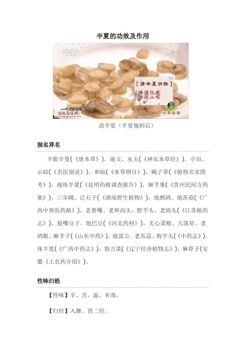半夏的功效及作用