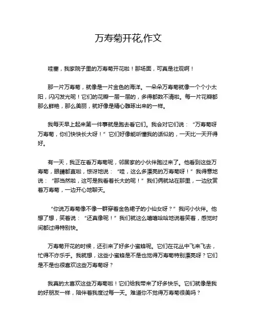 万寿菊开花,作文