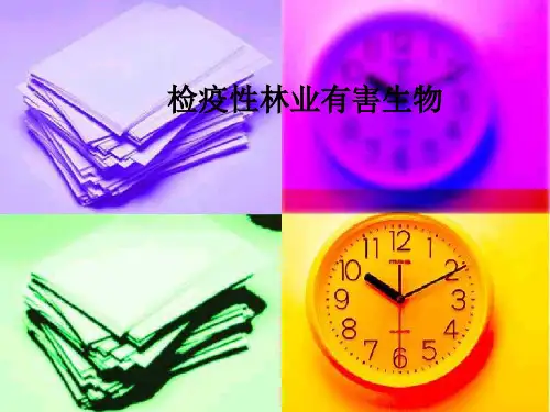 检疫性林业有害生物