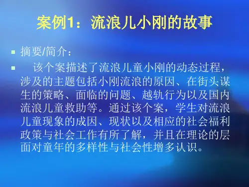 案例1：流浪儿小刚的故事
