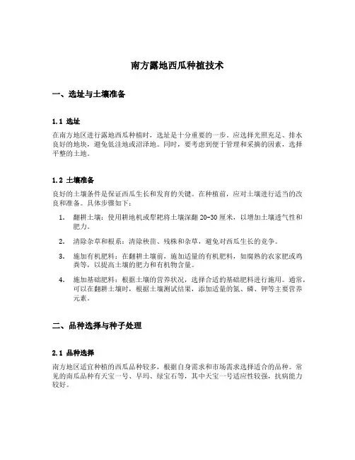 南方露地西瓜种植技术
