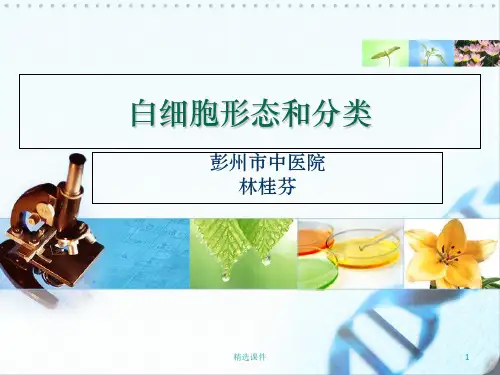 白细胞形态与分类ppt课件