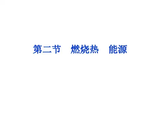 人教版选修4 第1章第2节 燃烧热 能源 课件(46张)