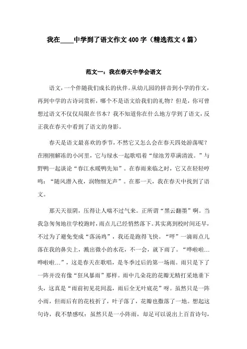 我在什么中学到了语文作文400