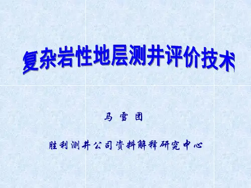 复杂岩性地层评价