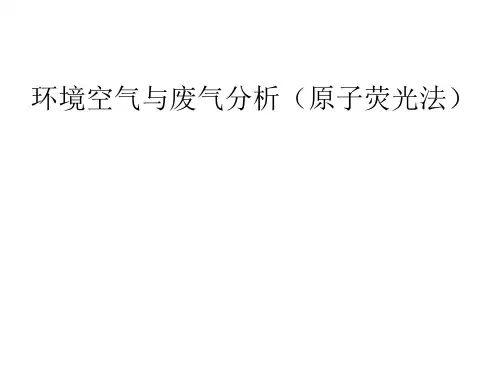 原子荧光空气和废气